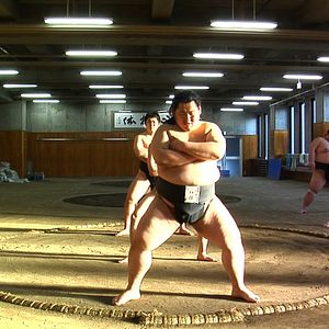 Photo Tu seras sumo