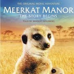 Photo Le Clan des suricates, l'aventure commence