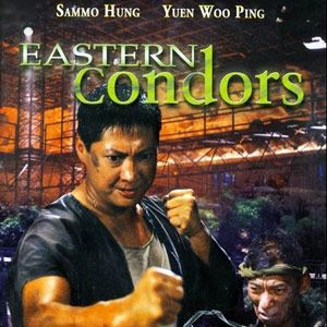 Photo Eastern Condors