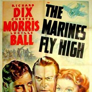 Photo The Marines Fly High