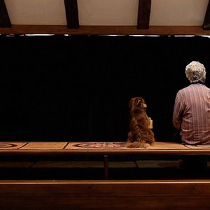 Photo Kambuzia Partovi