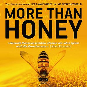 Photo Des Abeilles et des Hommes