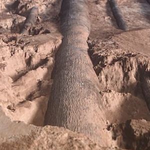 Photo Ludovic Bornes