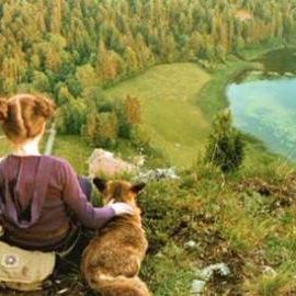 Photo Le renard et l'enfant