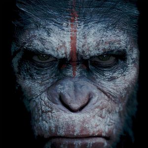 Photo La Planète des singes : l'affrontement