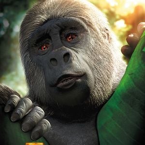 Photo Tarzan