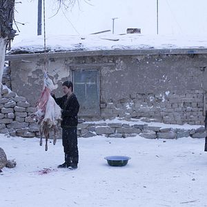 Photo Timur Aidarbekov