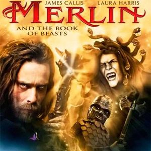 Photo Merlin et le livre des sorts