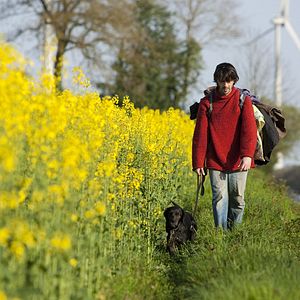 Photo Laurent Voiturin