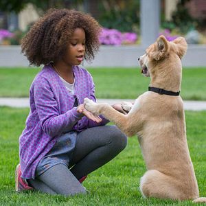 Photo Quvenzhané Wallis