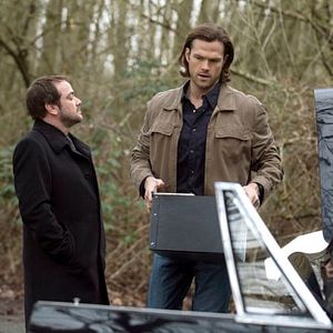 Photo Mark Sheppard