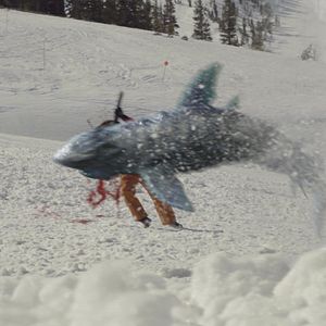 Photo Avalanche Sharks - les dents de la neige