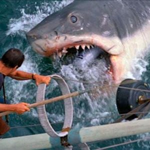 Photo Les Dents de la Mer