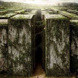 Photo Le Labyrinthe