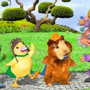 Photo Les Wonder Choux