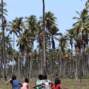 Photo Sem Coração (short)