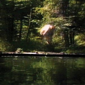 Photo Reflecting pool