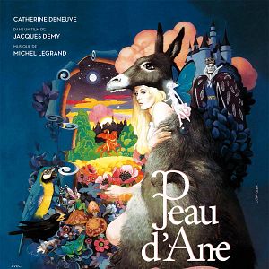 Photo Peau d'âne