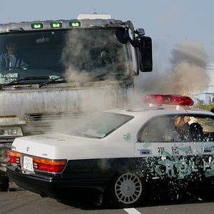 Photo Shield of Straw