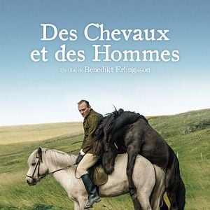 Photo Des chevaux et des hommes
