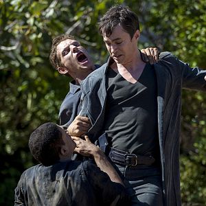 Photo Tom Wisdom