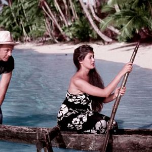 Photo Retour au Paradis