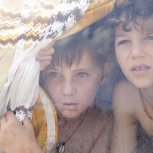 Photo Vie sauvage