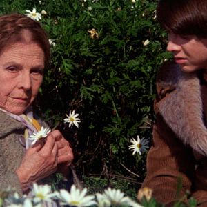 Photo Harold et Maude
