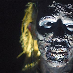 Photo Zombie Night