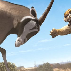 Photo Khumba