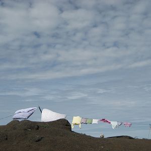 Photo Les ailes de Johnny May