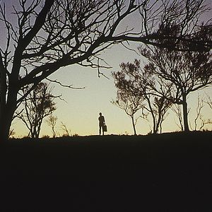 Photo Wake in Fright