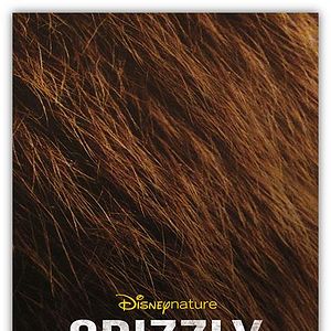 Photo Grizzly