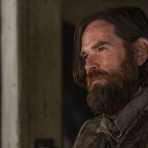 Photo Stephen Walters