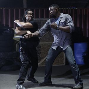 Photo Falcon Rising