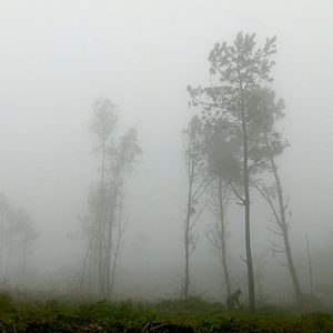 Photo Coast of Death