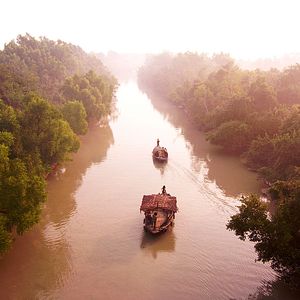 Photo ROAR – Les Tigres des Sunderbans