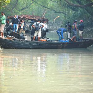 Photo ROAR – Les Tigres des Sunderbans