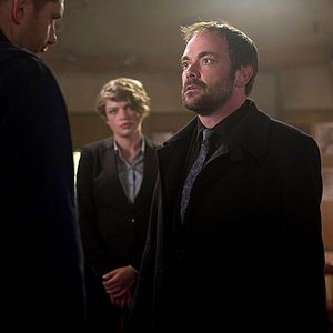 Photo Mark Sheppard