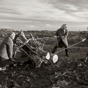 Photo Crosswind - La croisée des vents