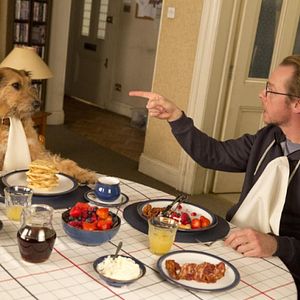 Photo Absolutely Anything