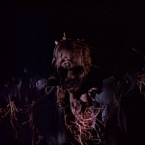 Photo Scarecrows