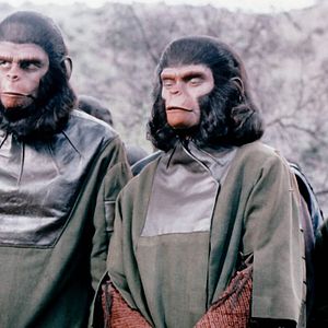 Photo La Bataille de la planète des singes
