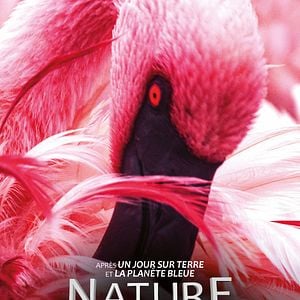 Photo Nature