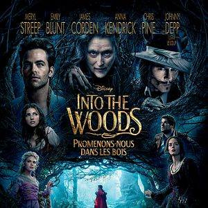 Photo Into the Woods, Promenons-nous dans les bois