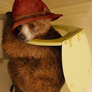 Photo Paddington