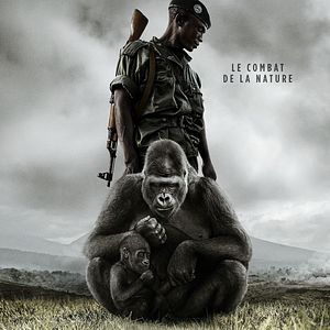 Photo Virunga