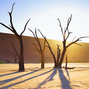 Photo Nature