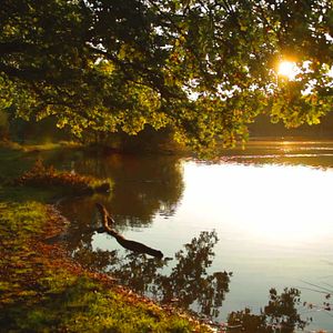 Photo Compostelle, le chemin de la vie