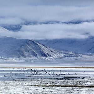 Photo Enfances Nomades